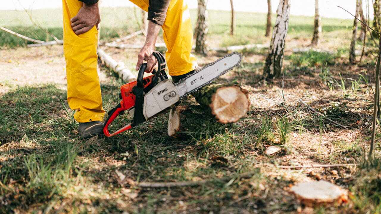 Jasper, FL Tree Service Company